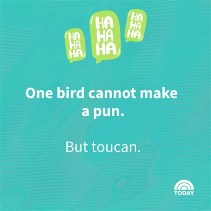 The 50+ Best Puns & Jokes About Puns (That'll Make You PunStoppable!)