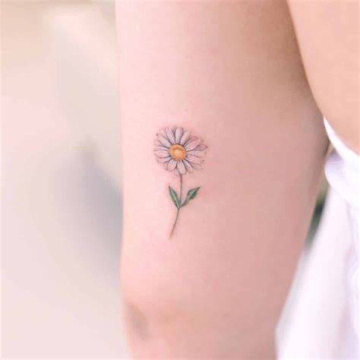 The Best Daisy Tattoo Ideas and Meaning HowLifeStyles