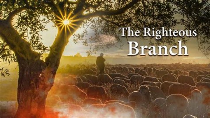 The Branch of David (Part 1) Messianic Jewish Alliance of Australia