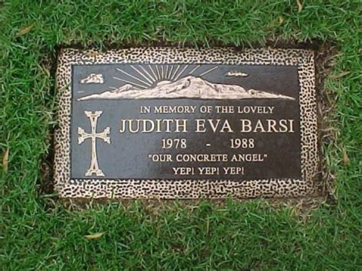 The Judith Barsi Story A Child Star Murdered by Her Father The CrimeWire