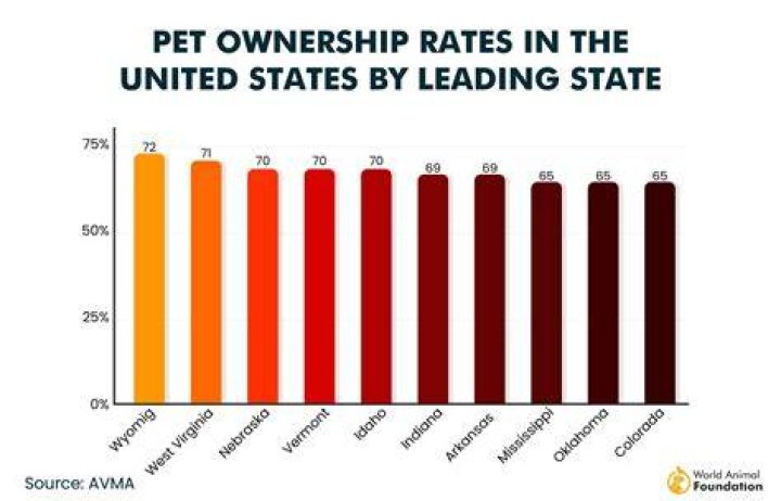 The Number Of Dogs Owned By Olivia Rodrigo And Why It Matters