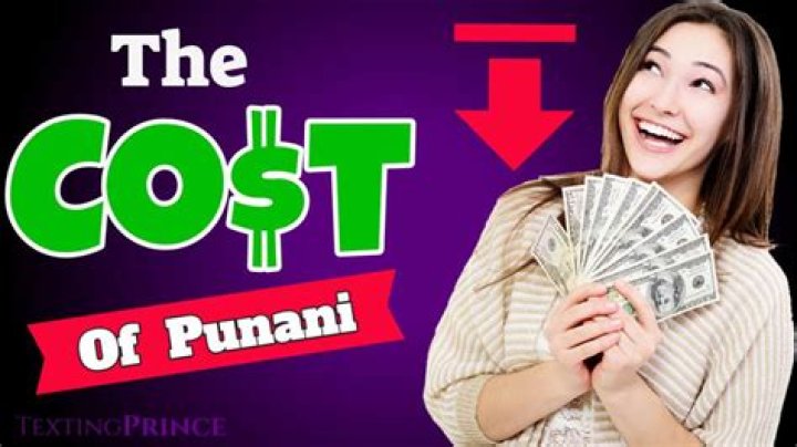 The Price of Punani is CRASHING YouTube