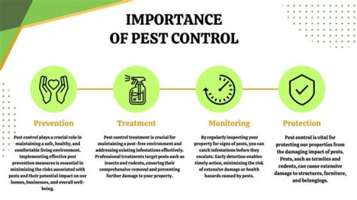 The Role of Pest Control in Public Health for McKinney Communities