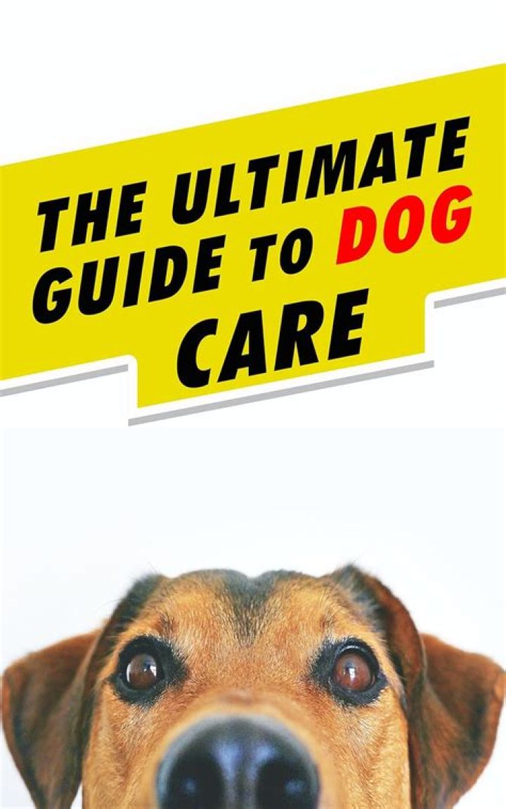 The Ultimate Guide To Dog On Blanket