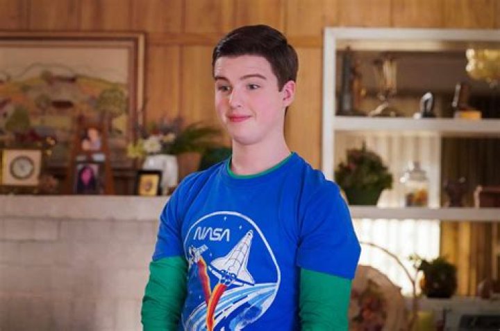 The Unmatched Brilliance Of Sheldon Cooper In Season 8