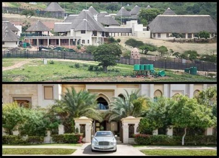 The Untold Story Of Duduzane Zuma's Mother