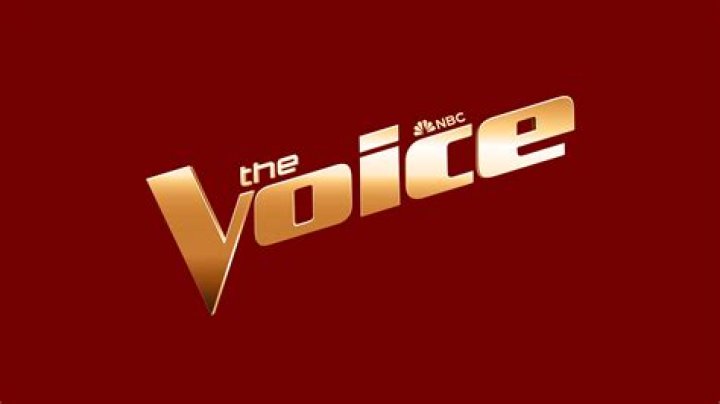 The Voice's Chris Sebastian on what it was really like auditioning in