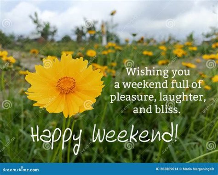 The Weekend of My