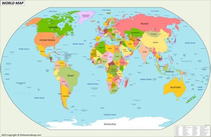 The World's Largest Birds WorldAtlas
