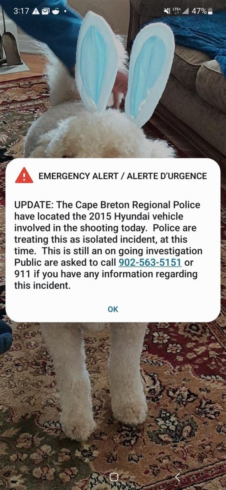 They Found the Car