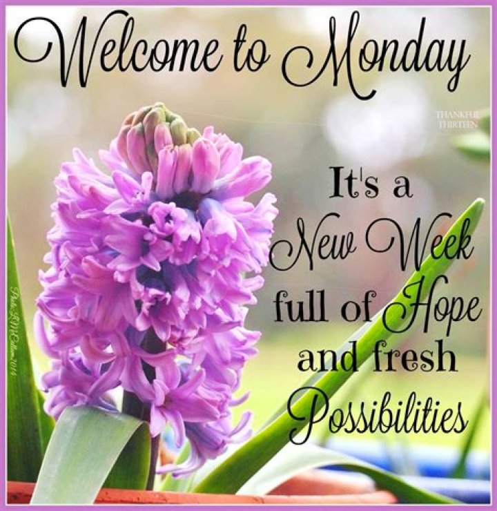 To Monday Its A New Week! Have a wonderful day! No Pin Limits