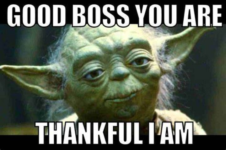 Today IS great because Boss Babe & CEO of Hello Fearless SaraDavidson