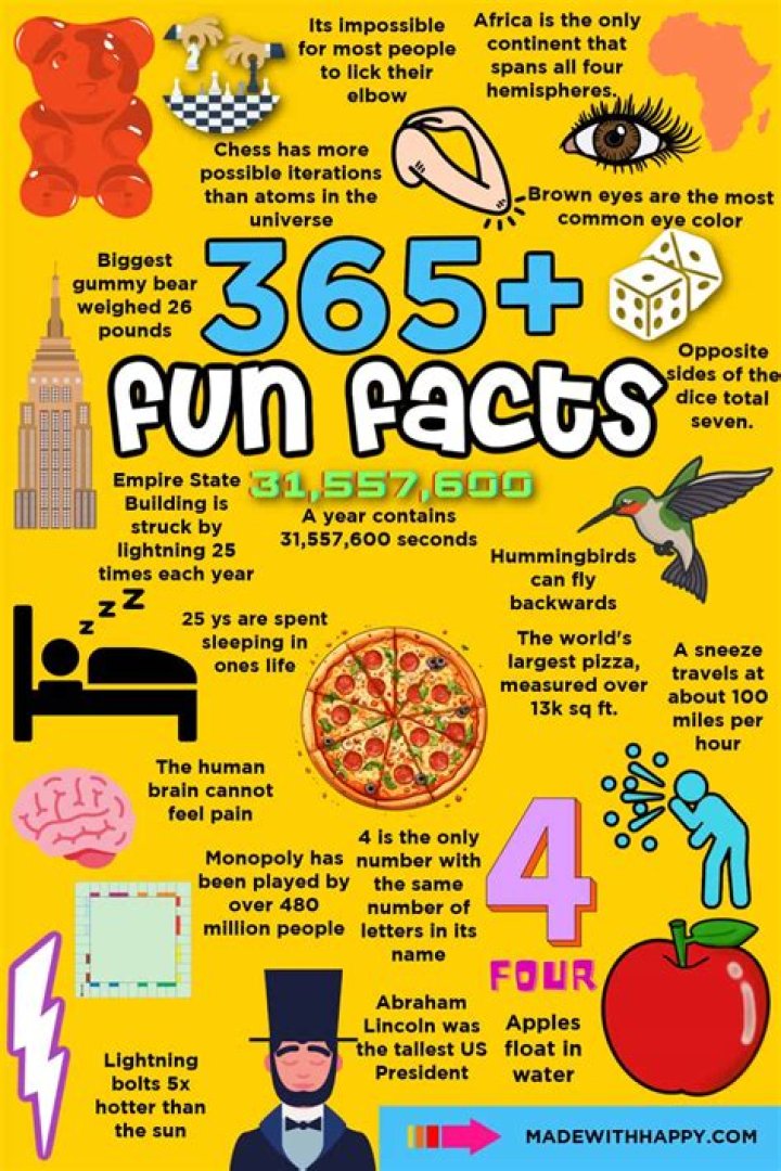 Top 10 Amazing Fun Facts About Adult Performer Lisa Sparxxx YouTube