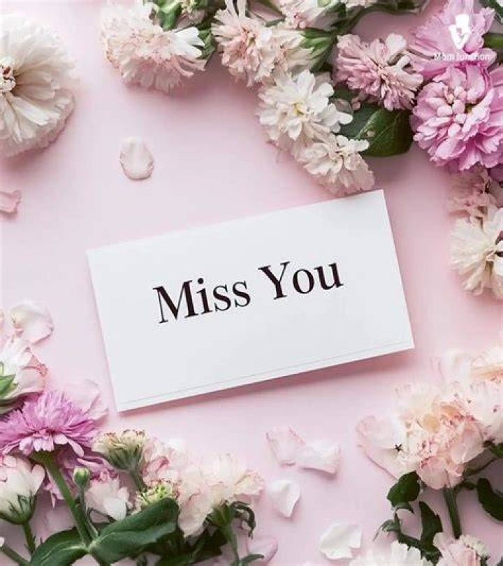 Top 50 Romantic Missing You Messages and Quotes for Her [Updated] Legit.ng