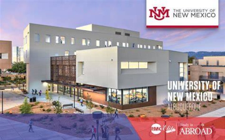 Univ. Of New Mexico Tight End Jaden Hullaby Dead At 21 'TMZ' News