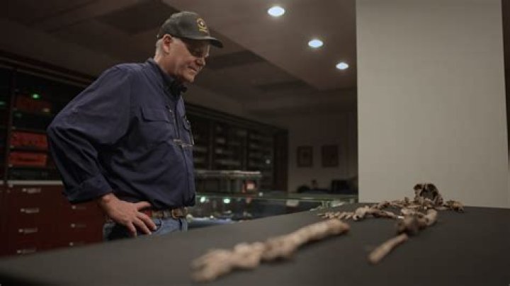 Unknown Cave of Bones review Fascination look into groundbreaking