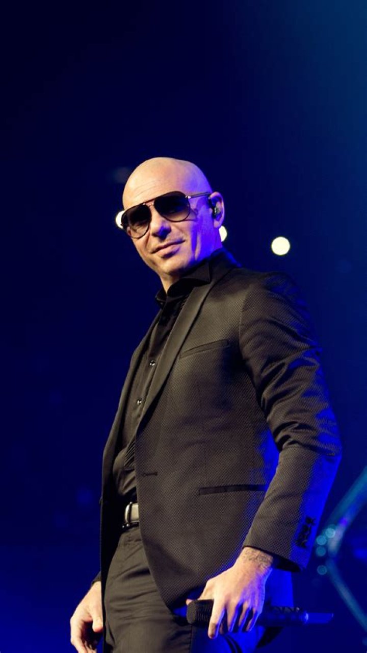 Unleashing The Rhythm: The Journey Of The Pit Bull Singer