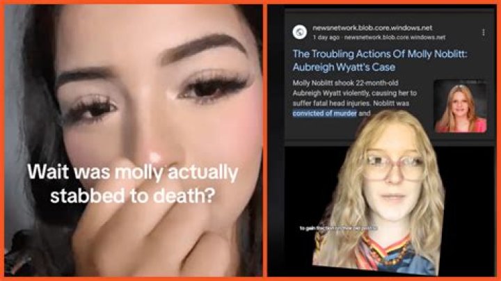 Unraveling The Mystery: Did Molly Noblitt Commit?