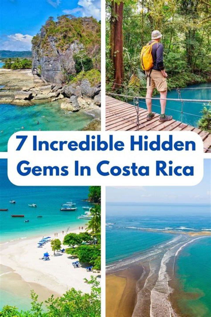 Unveiling Hidden Gems: Costa Ronin's Wife And Her Impact