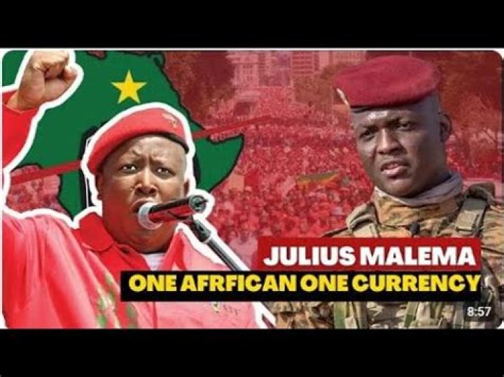 Unveiling Julius Malema's Wife: Discoveries And Insights