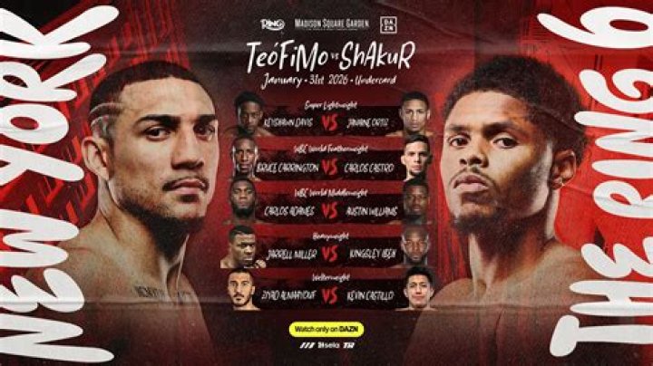 Unveiling Shakur Stevenson's Net Worth: A Journey Of Boxing And Financial Success