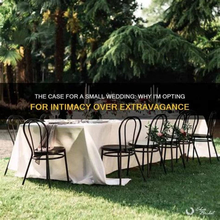 Unveiling The Extravagance And Intimacy Of Alina Habba's Lavish Wedding