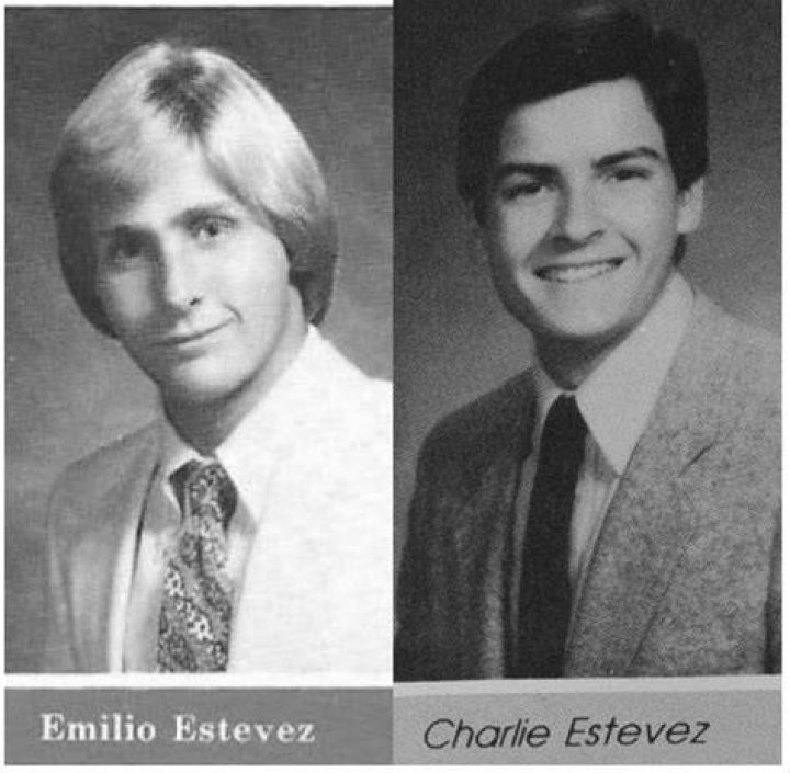 Unveiling The Life Of Emilio Estevez: His Partner And More