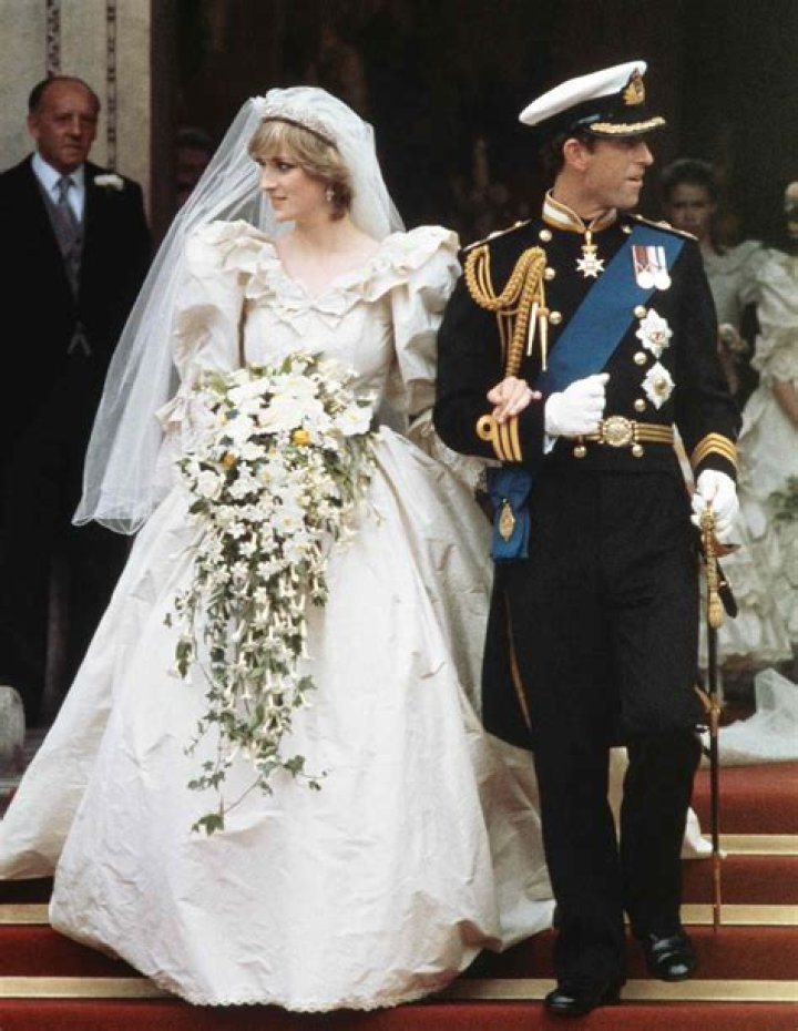 Unveiling The Marriage Of Diana Nyad: Discoveries And Insights
