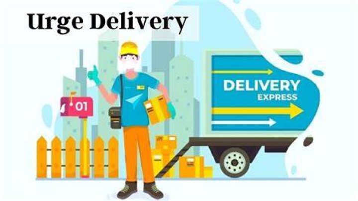 Urge Delivery Shein Experience LightningFast Shipping