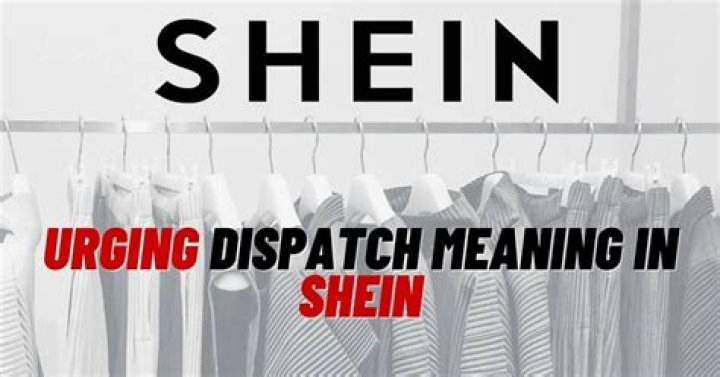 Urging Dispatch Meaning in Shein? [Explained 2023] ViralTalky