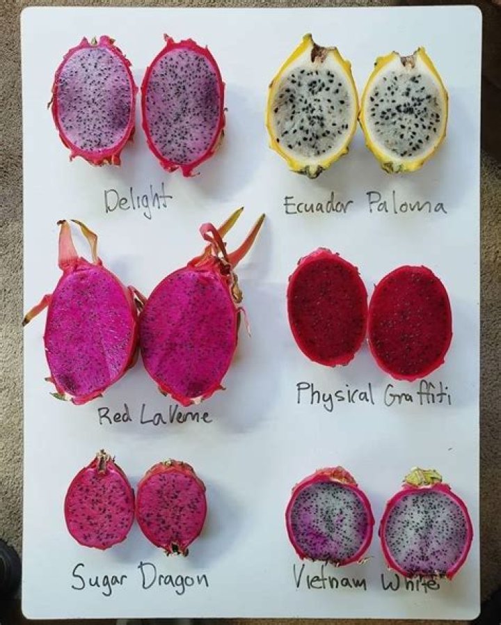 Variety Of Dragon Fruit, Gscthree