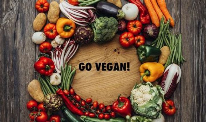 Veganism, Gscfour