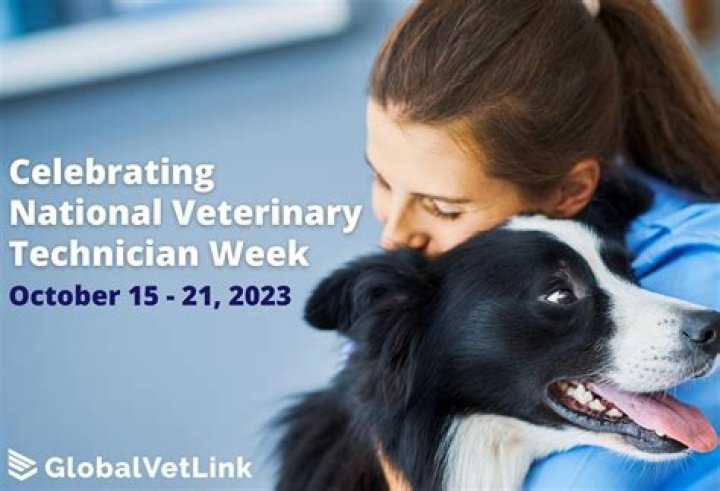 Veterinary Technician Schools Brielle Nj