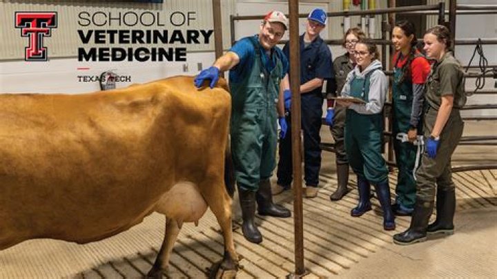 Veterinary Technician Schools Galveston Tx