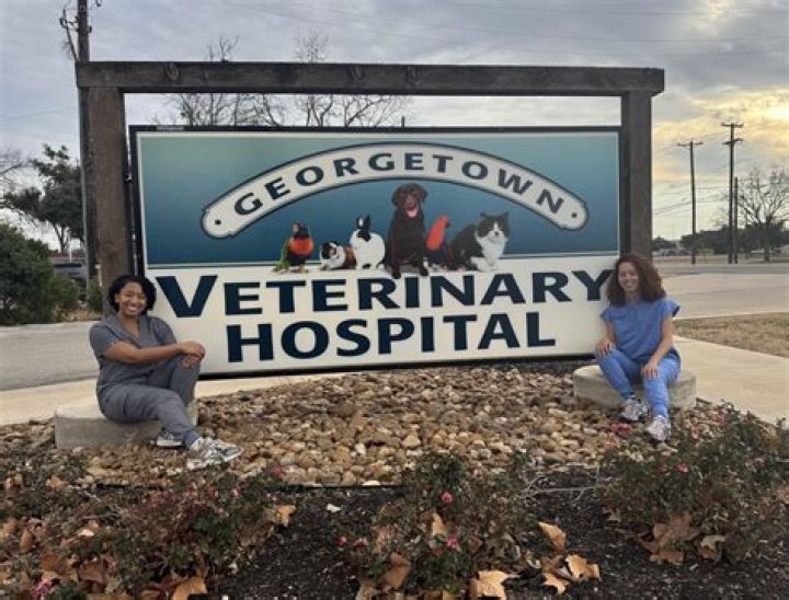 Veterinary Technician Schools Georgetown Sc
