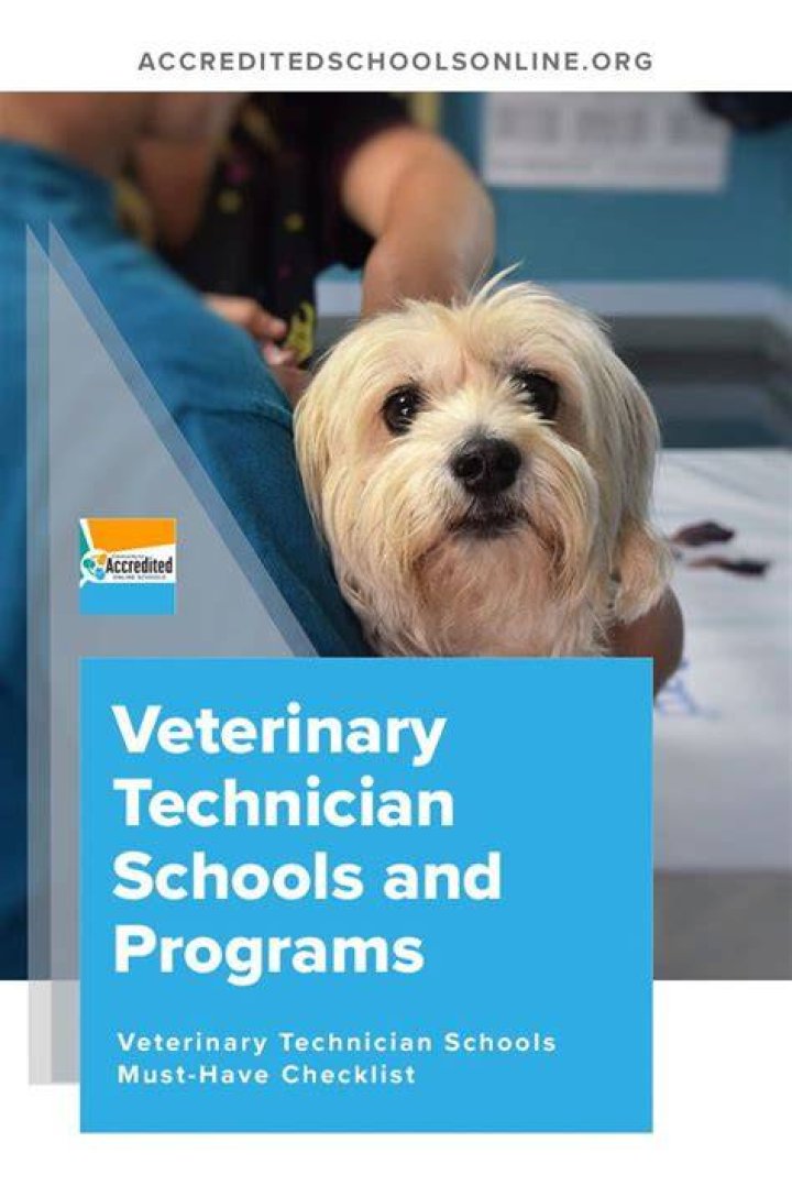 Veterinary Technician Schools Highland Ny