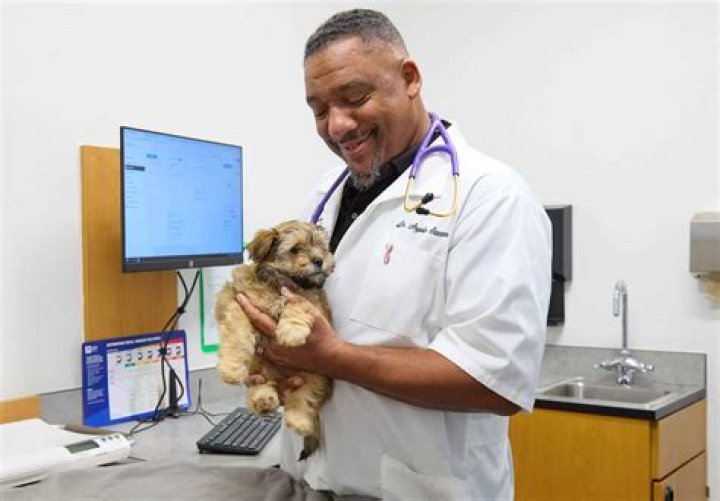 Veterinary Technician Schools Kalamazoo Mi