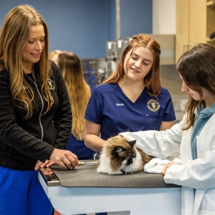 Veterinary Technician Schools Mcminnville Or