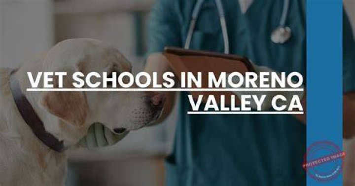 Veterinary Technician Schools Moreno Valley Ca