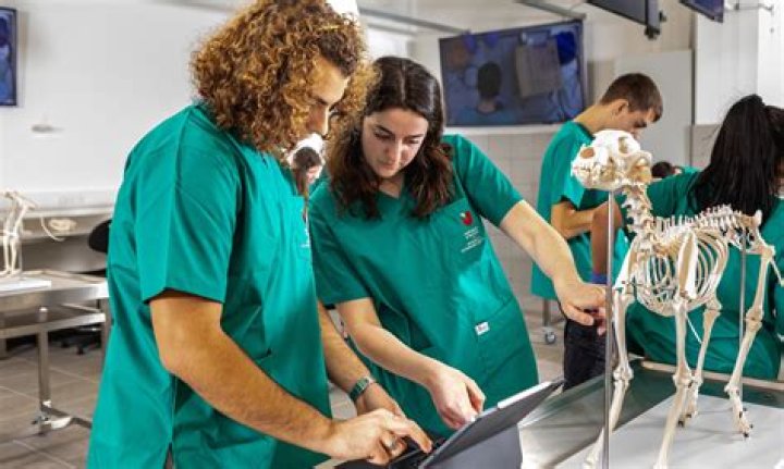 Veterinary Technician Schools Quincy Il