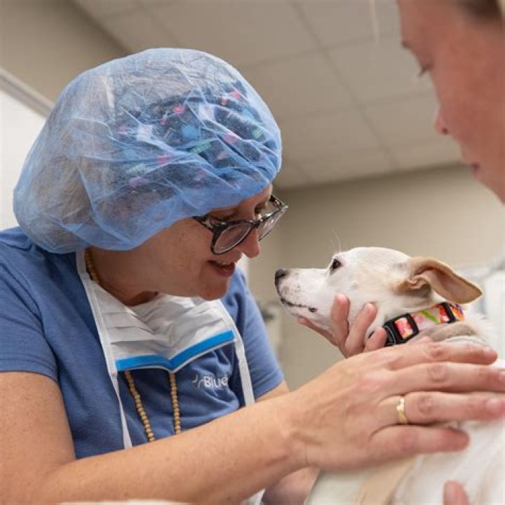 Veterinary Technician Schools Roby Tx
