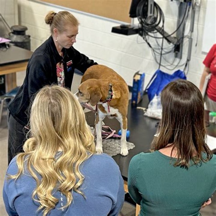 Veterinary Technician Schools Sauk Centre Mn