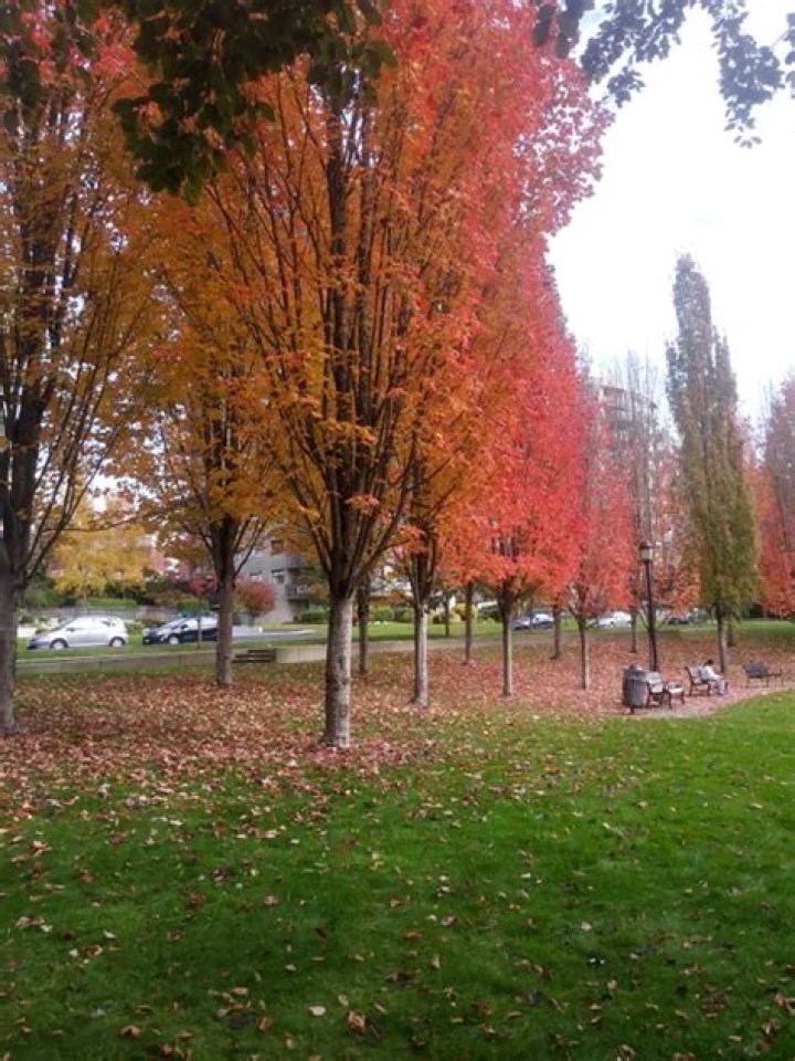 Victoria Park, 650 Lonsdale Ave, North Vancouver, BC V7M 2G8
