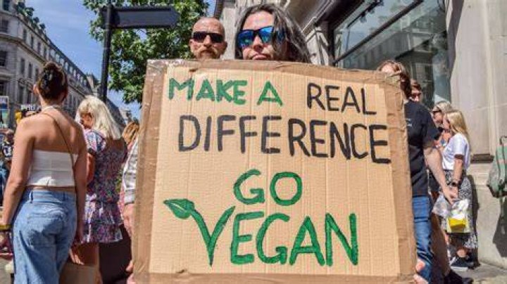 Views On Veganism, Gscfour