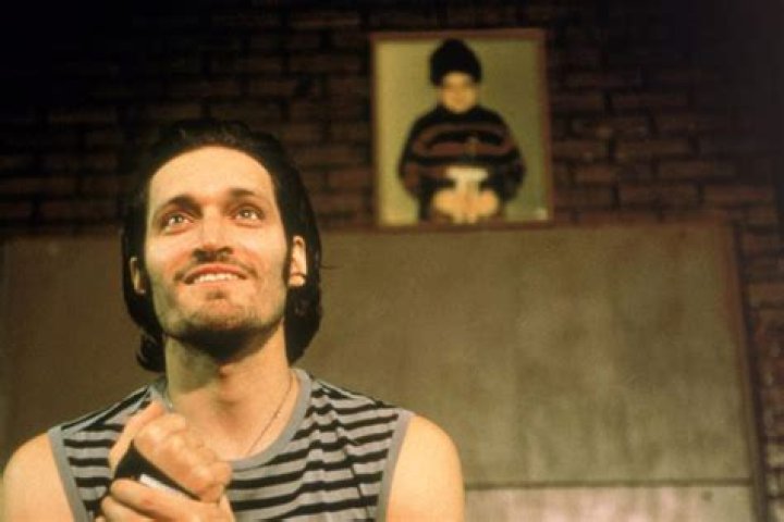 Vincent Gallo Pictures Rotten Tomatoes