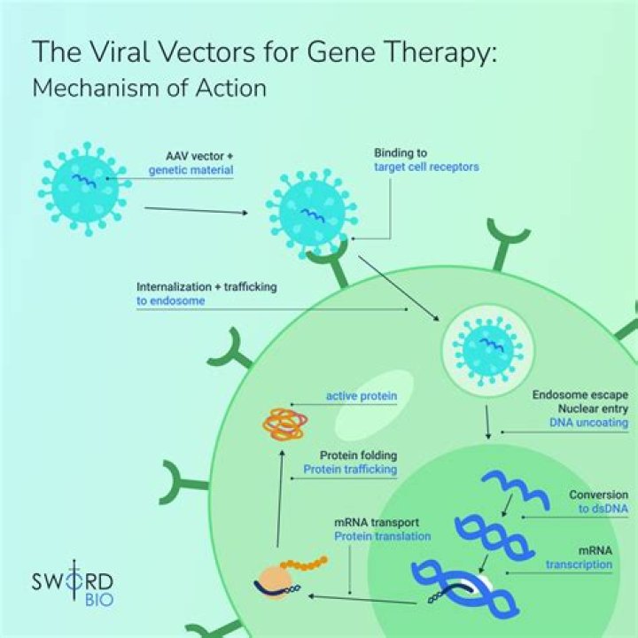 Viral, Gscone