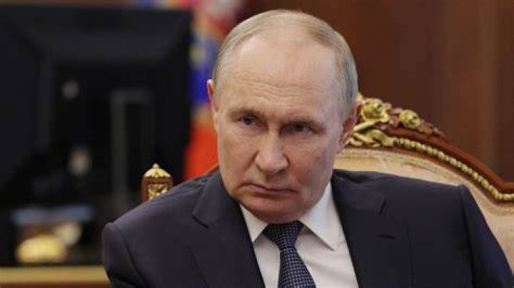 Vladimir Putin Real Height How tall The Celeb heights