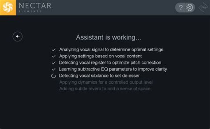 Vocal Assistant Analysis Screen