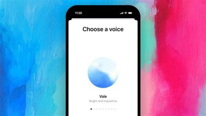 Vocal Assistant Option Screen