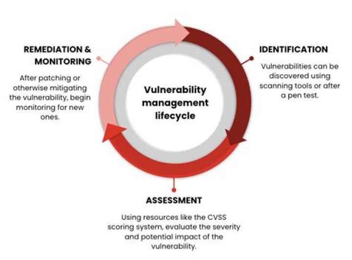 Vulnerability, Gscsix
